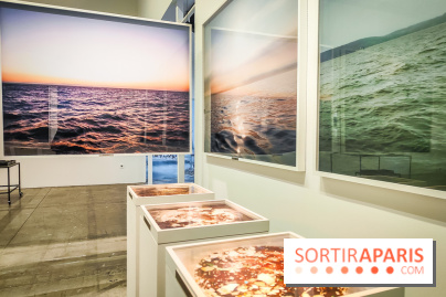 La Grande expédition : l'exposition entre art et science au Centquatre-Paris - nos photos - IMG20241115095134