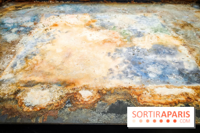 La Grande expédition : l'exposition entre art et science au Centquatre-Paris - nos photos - IMG20241115095053