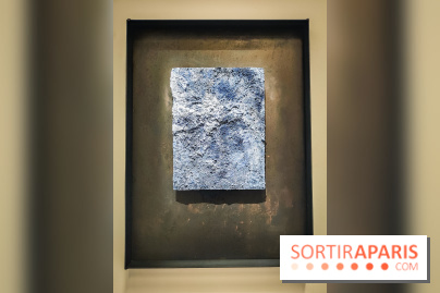 La Grande expédition : l'exposition entre art et science au Centquatre-Paris - nos photos - IMG20241115095439