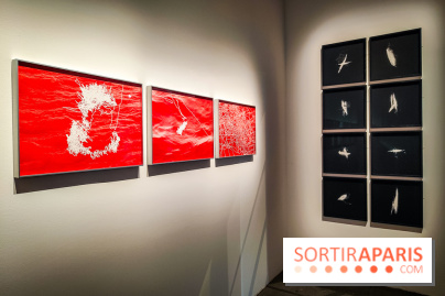 La Grande expédition : l'exposition entre art et science au Centquatre-Paris - nos photos - IMG20241115095239