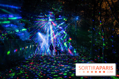 Lumières en Seine 2024, le parcours de lumières féérique et animé  -  A7C6847