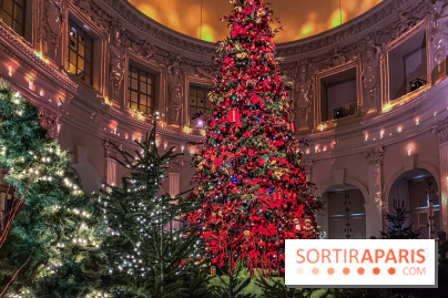 Noël 2024 au Château de Vaux-le-Vicomte : une expérience magique avec une patinoire