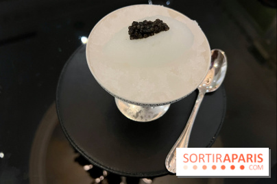 Le Grand Diner, Hôtel San Régis - Glace champagne et caviar