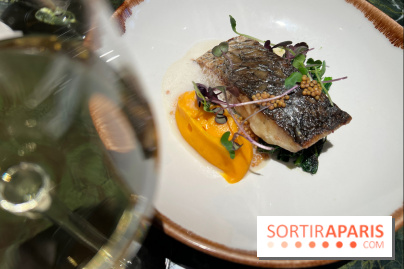 Onyx - Poisson, carotte, gingembre