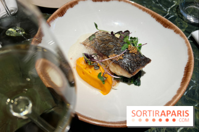 Onyx - Poisson, carotte, gingembre