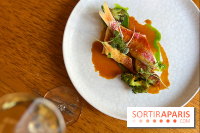 Fugue Restaurant - Rouget barbet, sauce bouillabaisse