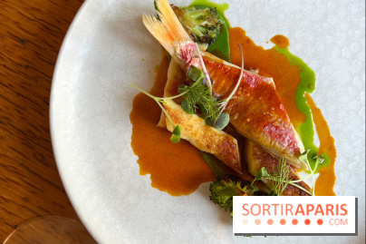 Fugue Restaurant - Rouget barbet, sauce bouillabaisse