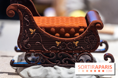 La Bûche de Noël 2024 et créations de Fête du Cheval Blanc par Maxime Frédéric et son équipe -  A7C6356