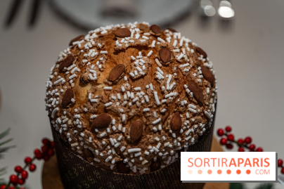 La Bûche de Noël 2024 et créations de Fête du Cheval Blanc par Maxime Frédéric et son équipe -  A7C6354