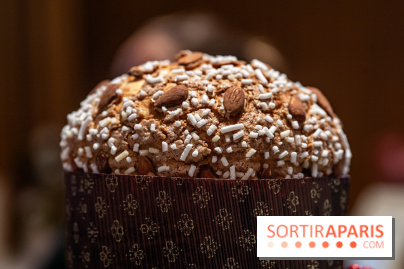 La Bûche de Noël 2024 et créations de Fête du Cheval Blanc par Maxime Frédéric et son équipe -  A7C6349