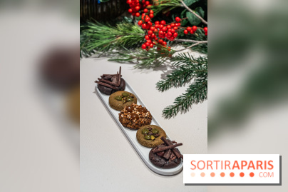 La Bûche de Noël 2024 et créations de Fête du Cheval Blanc par Maxime Frédéric et son équipe -  cookies