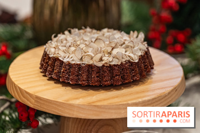 La Bûche de Noël 2024 et créations de Fête du Cheval Blanc par Maxime Frédéric et son équipe -  pain d'épices