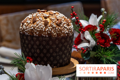 La Bûche de Noël 2024 et créations de Fête du Cheval Blanc par Maxime Frédéric et son équipe -  panettone