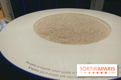 Paris, capitale de la perle  - IMG 6555