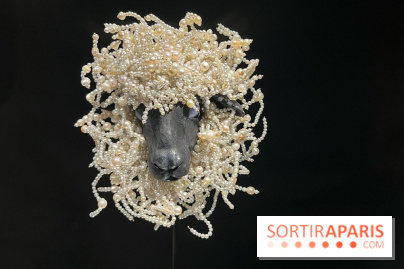 Paris, capitale de la perle  - IMG 6666