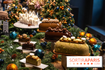 Les bûches de Noël de Jeffrey Cagnes 2024 - photos