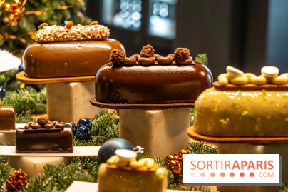 Les bûches de Noël de Jeffrey Cagnes 2024 - photos -  A7C6435