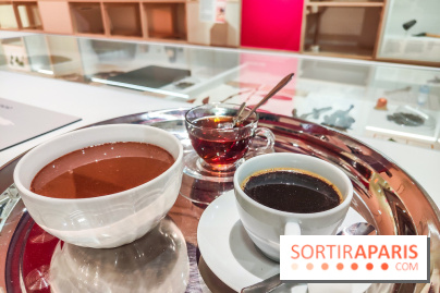 Migrations, une odyssée humaine : l'exposition-événement se dévoile au Musée de l'Homme à Paris - IMG20241120105041