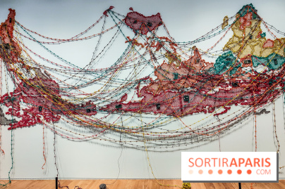 Migrations, une odyssée humaine : l'exposition-événement se dévoile au Musée de l'Homme à Paris - IMG20241120103044