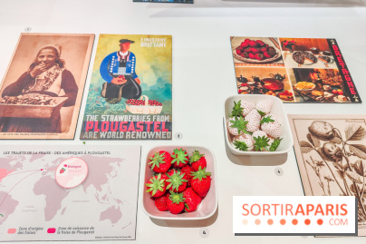 Migrations, une odyssée humaine : l'exposition-événement se dévoile au Musée de l'Homme à Paris - IMG20241120105817