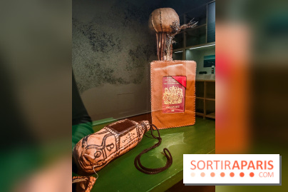 Migrations, une odyssée humaine : l'exposition-événement se dévoile au Musée de l'Homme à Paris - IMG20241120102851