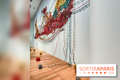 Migrations, une odyssée humaine : l'exposition-événement se dévoile au Musée de l'Homme à Paris - IMG20241120103105