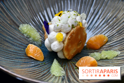 Brunch de Noël 2024 et du Nouvel An 2025 à l'Hôtel Paris J'adore - DSC 2703 Fotor