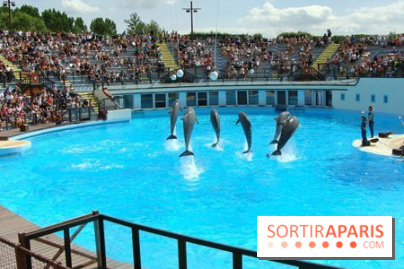 Parc Asterix
Dauphins