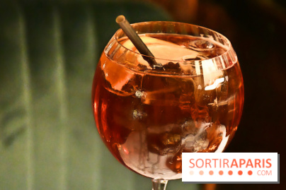 Le Wagon Bleu Paris, un restaurant insolite et festif aux accents corses - IMG 3315