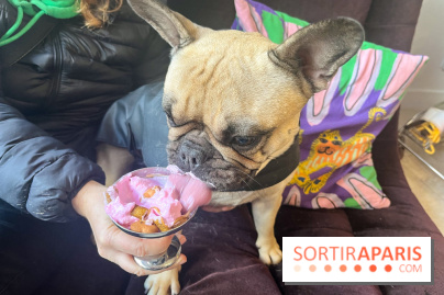 CAYU Canidés Club, la boutique d'accessoires dog friendly - nos photos