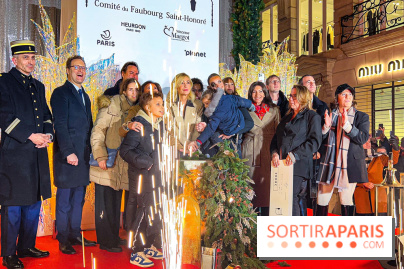 Les illuminations de Noël 2024 du Faubourg Saint Honoré avec Emmanuelle Béart - IMG 1545 jpg 2