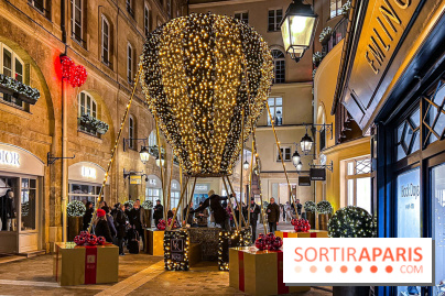 Les illuminations de Noël 2024 du Faubourg Saint Honoré avec Emmanuelle Béart - IMG 1571 jpg 2