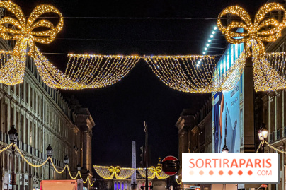 Les illuminations de Noël 2024 du Faubourg Saint Honoré avec Emmanuelle Béart - IMG 1581 jpg 2