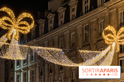 Les illuminations de Noël 2024 du Faubourg Saint Honoré avec Emmanuelle Béart - IMG 1590 jpg 2