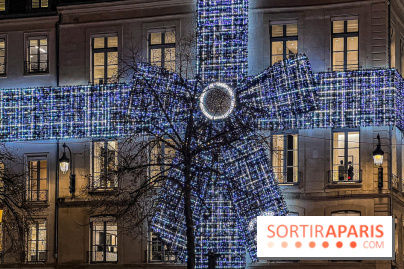 Les illuminations de Noël 2024 du Faubourg Saint Honoré avec Emmanuelle Béart - IMG 1629 jpg 2