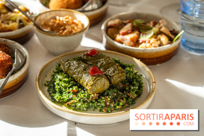 Osmossi par la maison Mavrommatis, le restaurant grec Paris 16e