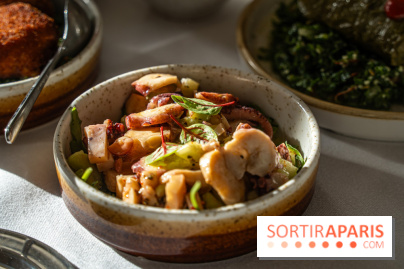 Osmossi par la maison Mavrommatis, le restaurant grec Paris 16e -  A7C7188