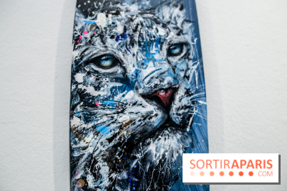 Boards to be solidaire 2024, nos photos - IMG 6873