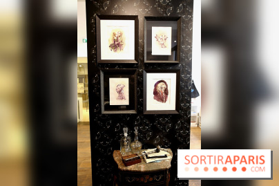 Benjamin Lacombe à la Galerie Gallimard, nos photos - IMG 6924 fotor 20241128144755 bis