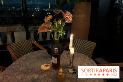 Terrazza eminente - vue sur Paris