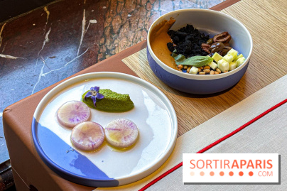 Alain Ducasse Baccarat, la nouvelle table gastronomique dans le temple du cristal à Paris - image00043