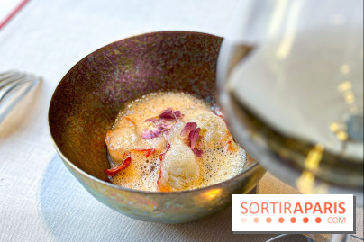 Alain Ducasse Baccarat, la nouvelle table gastronomique dans le temple du cristal à Paris - image00045