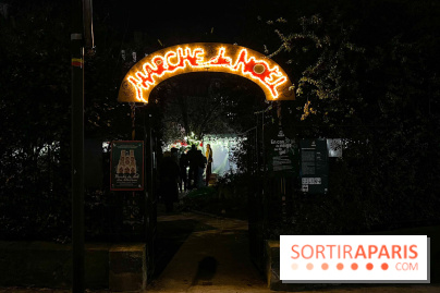 Le Marché de Noël de Notre Dame - IMG 2762 jpg