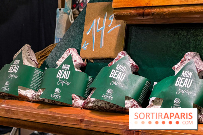 Le Marché de Noël de Notre Dame - IMG 2780 jpg