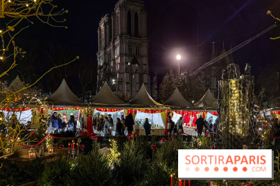 Le Marché de Noël de Notre Dame - IMG 2783 jpg