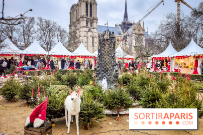 Le Marché de Noël de Notre Dame - IMG20241211111702