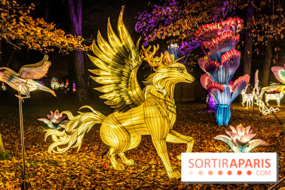 L'Odyssée Lumineuse 2024, le parcours de lumières au Parc Floral - les photos -  légende