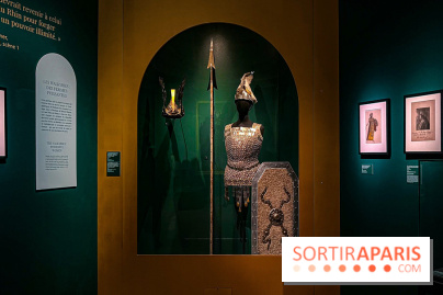 Bijoux de scène de l'Opéra de Paris : l'exposition de parures merveilleuses au Palais Garnier - IMG 2419 jpg