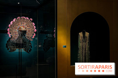 Bijoux de scène de l'Opéra de Paris : l'exposition de parures merveilleuses au Palais Garnier - IMG 2442 jpg