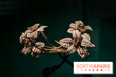 Bijoux de scène de l'Opéra de Paris : l'exposition de parures merveilleuses au Palais Garnier - IMG 2534 jpg